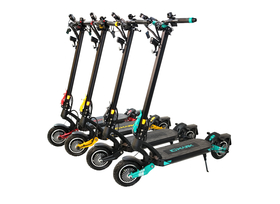 E-Scooter IO Hawk Nine - Optional mit Allradantrieb