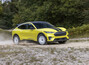 Ford bringt den Mustang Mach-E Rally auf die Straße