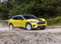 Ford Mustang Mach-E für jedes Terrain