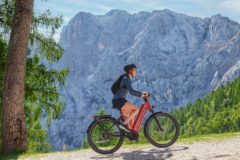 Touren-Pedelec Gazelle Eclipse - Aparter Allrounder