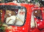 Knöllchenfrei durch die Weihnachtszeit