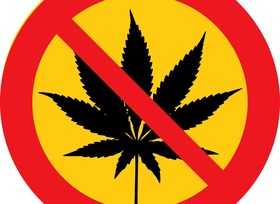 Cannabis am Steuer: Autofahrer sagen Nein zum Grenzwert