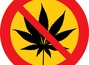 Cannabis am Steuer: Autofahrer sagen Nein zum Grenzwert