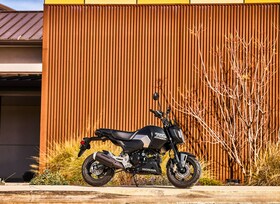 Honda MSX 125 Grom - Zum Kleben schön