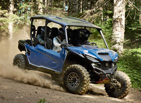 Familienzuwachs bei den Vielfraßen von Yamaha