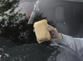 Tipp: Das Auto trocken halten   - Regelmäßige Laubkontrolle  