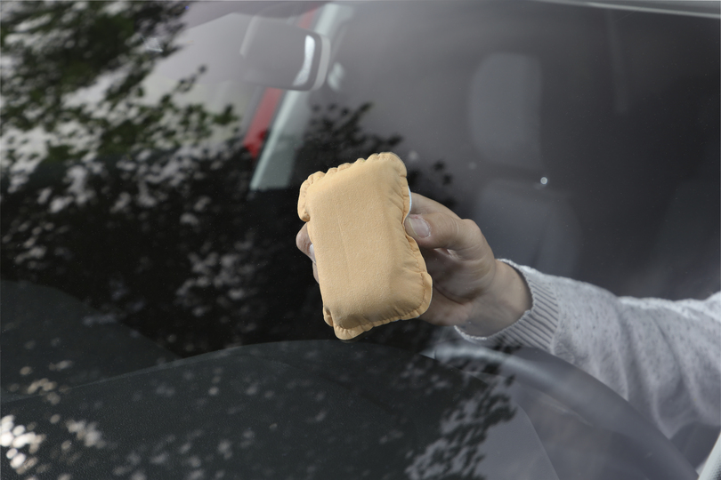 Tipp: Das Auto trocken halten   - Regelmäßige Laubkontrolle  