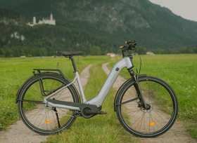 Decathlon Rockrider E-ACTV 900 - Trekking-Pedelec mit Automatik