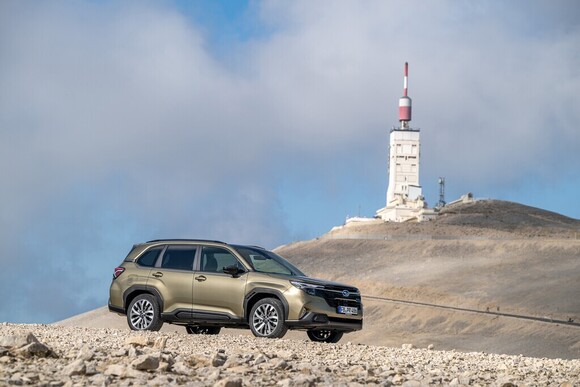 Der Subaru Forester und der Kolibri